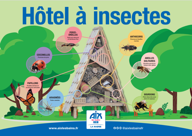 Hôtels à insectes
